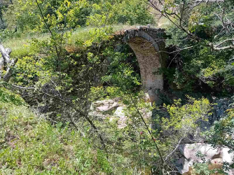 Η άγρια ομορφιά της Φύσης στη Δράμα